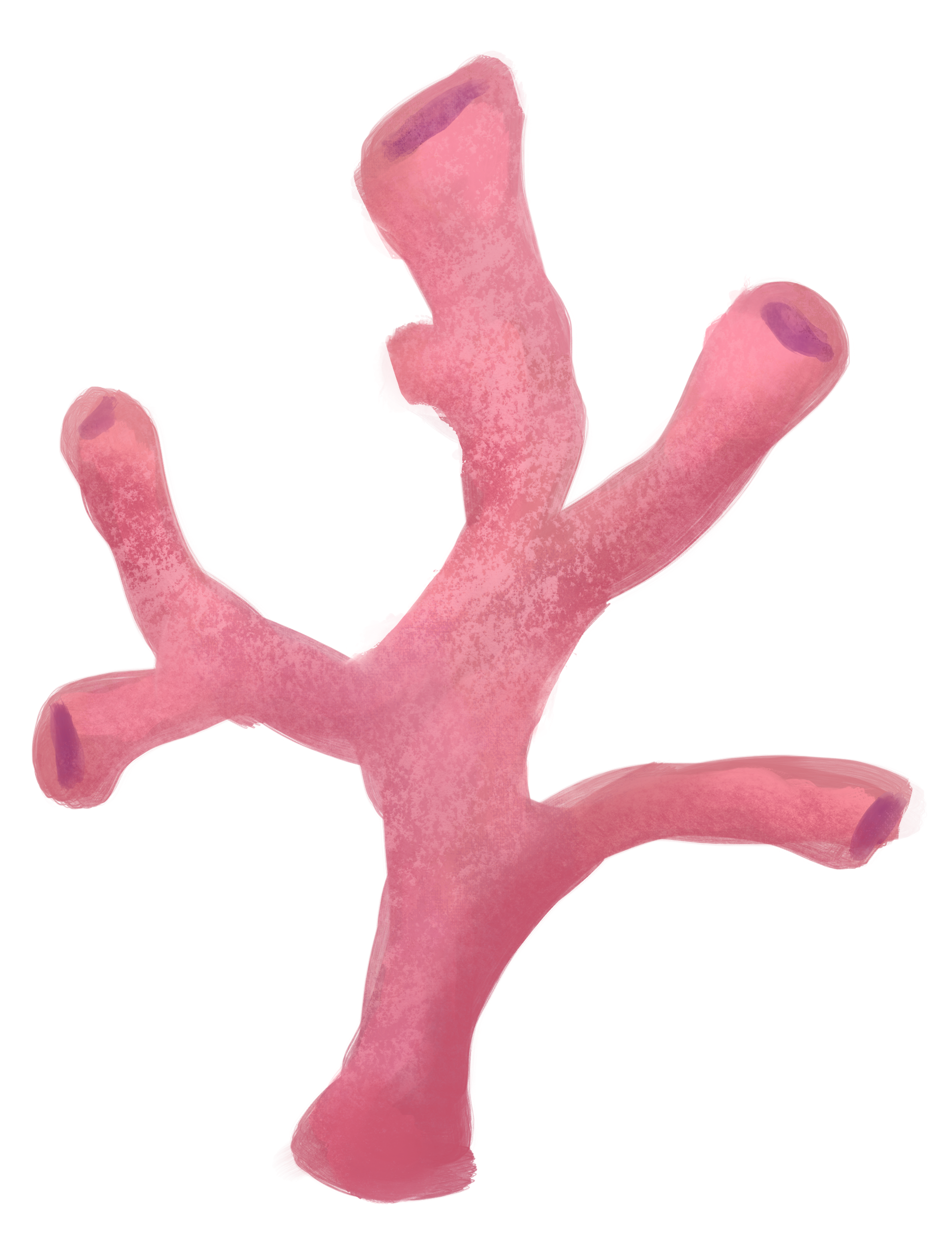 By Our Love Pink Coral