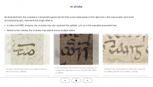 Screen shot of the paleography primer showing examples of the n-stroke